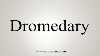 How To Say Dromedary [upl. by Carrew]