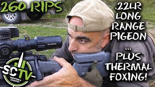 SampC TV  Mark Ripley 260RIPS 25  Longrange 22LR pigeon and thermal foxing [upl. by Tzong]