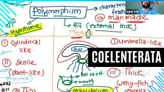 PHYLUM COELENTERATA [upl. by Eneryc556]