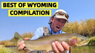 The Best Of Wyoming Fly Fishing A Compilation [upl. by Bander]