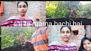 aaj to monkey mama ko Kat hi liya Hota [upl. by Hairahs]