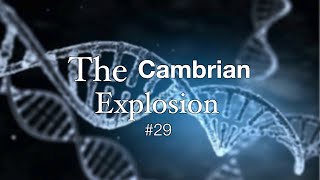 The Cambrian Explosion [upl. by Kemppe]