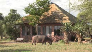 Tshukudu Game Lodge Hoedspruit  South Africa Travel Channel 24 [upl. by Oiluarb]