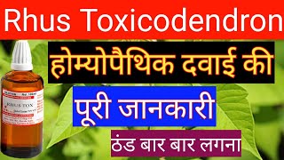 Rhus toxicodendron रस टॉक्स Rhus tox 302001M Homoeopathic benefits and Use All details rhus tox [upl. by Anifur]