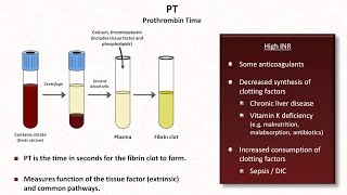 Hemostasis Lesson 4  Tests INR PTT platelets fibrinogen Ddimer [upl. by Chemash]