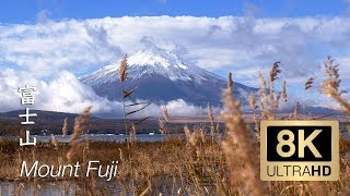 8K  Mount Fuji  Yamanashi  富士山 [upl. by Ahsikit]