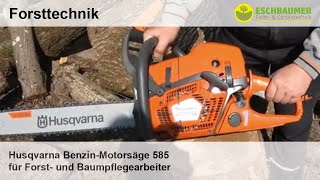 Husqvarna BenzinMotorsäge 585 für Forst und Baumpflegearbeiter [upl. by Adnuhs840]