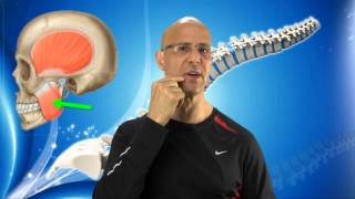 Instant TMJ Relief Maneuver for Jaw Pain Facial Pain amp Headaches  Dr Mandell [upl. by Jez]