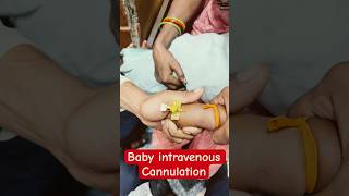 Baby intravenous cannulation  intravenous shorts trending subscribe hospital SMpharmacy [upl. by Jeralee]