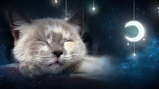 Make Your Cat Sleep Within 5 Minutes CAT MUSIC With Cat purring sounds 10 HOURS [upl. by Kerwon]