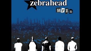 Zebrahead  Strength Lyrics [upl. by Elfrieda254]