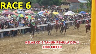 RACE 6  KELAS CD 2 TAHUN PEMULA DIV 1  PACU KUDA BUKITTINGGI 2024 [upl. by Latoye780]