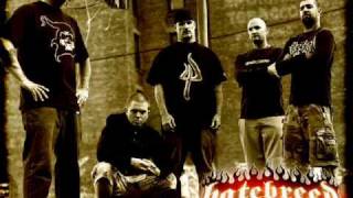 Hatebreed Every Lasting Scar BEST SONG [upl. by Augustina]