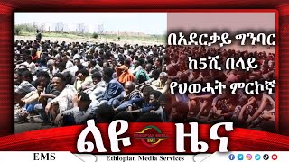 Ethiopian Media Services [upl. by Germana61]