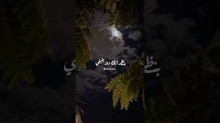 بنظراتك دوبتيني 🥹🙈♥️ اكسبلور تصميمي explore ترند لايك morocoo حالاتواتس moroc [upl. by Hallimaj176]