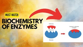 Enzymes  Enzymes Biochemistry  Enzymes MDCAT Lecture [upl. by Gignac955]