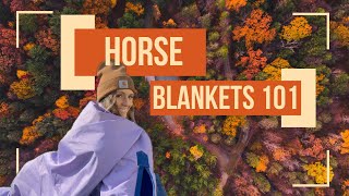 Horse Blanketing 101  Sizing Weights Denier Clips and more [upl. by Litt551]