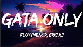 FloyyMenor  GATA ONLY ft Cris MJ LetraLyrics [upl. by Eannaj]