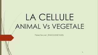 Biologie Cellulaire S1  la cellule végétale et la cellule animale الإختلاف بينهما [upl. by Hserus]