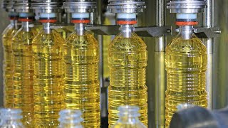 How Sunflower Oil Is Made  Amazing SUNFLOWER OIL Factory [upl. by Noned829]