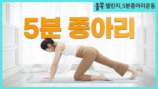 종아리 얇아지는 BEST 스트레칭  하루 5분 종아리스트레칭 종아리알빼기 올마이바디 올쏙챌린지 [upl. by Belva]