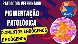 Pigmentação carbono carotenoides melanina lipofuscina e hematológicos  Patologia veterinária [upl. by Modestine]