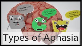 Aphasia Types Mnemonic [upl. by Nnayar736]