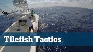 Deep Drop Tilefish Tackle Tips Bait  Florida Sport Fishing TV [upl. by Menis]