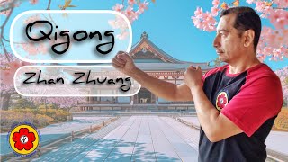 Qigong de Zhan Zhuang postura da árvore [upl. by Chadbourne]