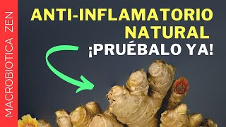 Jengibre ANTIINFLAMATORIO Natural 🥣 Tónico Aparato DIGESTIVO [upl. by Adnorehs]