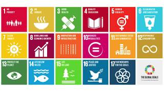 UN Sustainable Development Goals SDGs What They Are amp Why Theyre Important [upl. by Carree]