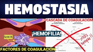 TODO SOBRE HEMOSTASIA Y CASCADA DE COAGULACIÓN 🌊🔴 Súper fácil [upl. by Nivrac731]