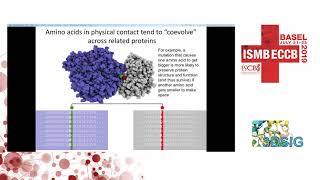 progress on protein structure prediction by deep learning  Jinbo Xu  3DSig  ISMBECCB 2019 [upl. by Alison]