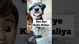 Miss You Kallu Kaliya 🥹  minivlog [upl. by Lessard]