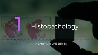 Histopathology [upl. by Pelage643]