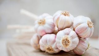 A Science Backed Trick To Get Rid Of Garlic Breath Fast [upl. by Brandi]