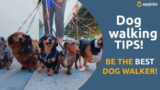 How to be a good dog walker  AppJobscom [upl. by Mathur]