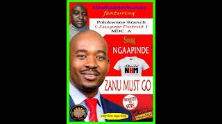 Dzimwe Nyika Dzapindira  Ngaapinde Hake Mukomana song 2 Headmasterburusa ft MDC A Limpopo province [upl. by Groscr]