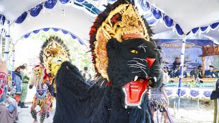 RAMPAK BUTO amp BARONGAN TLAGA SAKTI 2024 [upl. by Assertal]