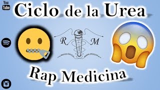 Ciclo de la Urea  Rap Medicina  R4 [upl. by Aerdnu754]