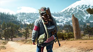 Days Gone is Actually a Masterpiece [upl. by Leakcim]