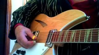 Tom PettyThe Byrds  Feel A Whole Lot Better  Guitar Cover  Rickenbacker 36012 [upl. by Spoor712]