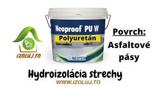 Renovácia strechy hydroizolácia Tekutý polyuretán [upl. by Killion180]