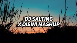 Dj Salting  Dj Salting Viral tiktok terbaru 2021 X Oisini Mashup Viral [upl. by Aitnic]