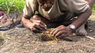 Making fire with Rattan in Papua [upl. by Ladnik]