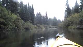 Paddling the Oxtongue [upl. by Angrist250]