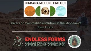 Drivers of mammalian evolution in the Miocene of eastern Africa [upl. by Inuat]