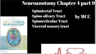 Neuroanatomy chapter 4 part 9Spinotectal TractSpinoreticular TractSpino olivary TractVisceral [upl. by Einaffit837]