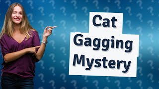 Why do cats gag after smelling [upl. by Udella]