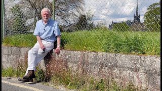 Shepherds Purse with John Feehan in May Wildflowers of Offaly series [upl. by Ronda82]